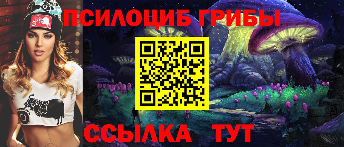 Орск  Галлюциногенные грибы Cubensis  Вход с VPN  Псилоцибиновые грибы GOLDEN TEACHER 